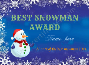 Best Snowman Award